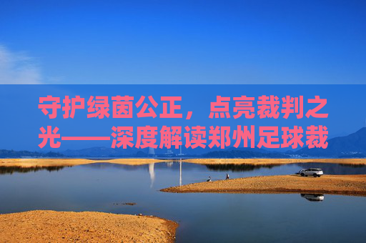 守护绿茵公正，点亮裁判之光——深度解读郑州足球裁判网