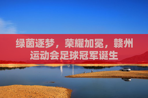 绿茵逐梦，荣耀加冕，赣州运动会足球冠军诞生