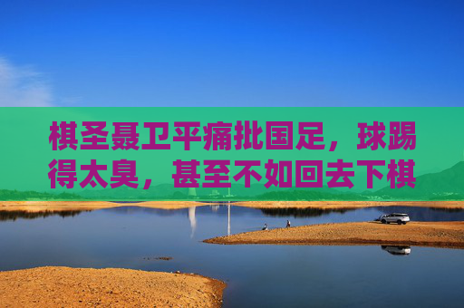 棋圣聂卫平痛批国足，球踢得太臭，甚至不如回去下棋