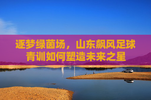 逐梦绿茵场，山东飙风足球青训如何塑造未来之星