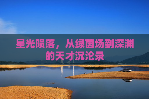 星光陨落，从绿茵场到深渊的天才沉沦录