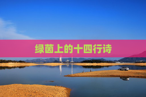 绿茵上的十四行诗