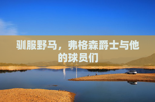 驯服野马，弗格森爵士与他的球员们