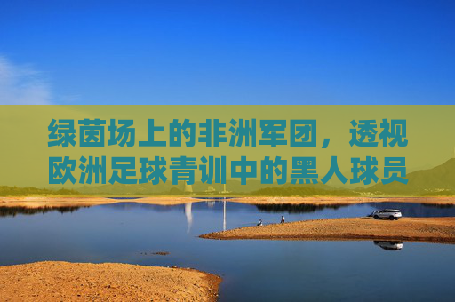 绿茵场上的非洲军团，透视欧洲足球青训中的黑人球员现象与困境