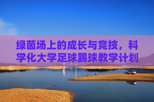绿茵场上的成长与竞技，科学化大学足球踢球教学计划全案