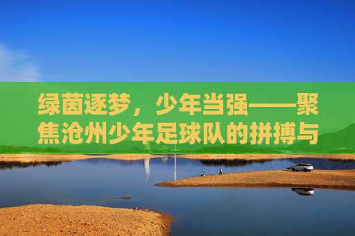 绿茵逐梦，少年当强——聚焦沧州少年足球队的拼搏与希望