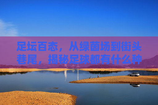 足坛百态，从绿茵场到街头巷尾，揭秘足球都有什么种类