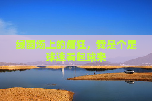 绿茵场上的痴狂，我是个足球迷看起球来