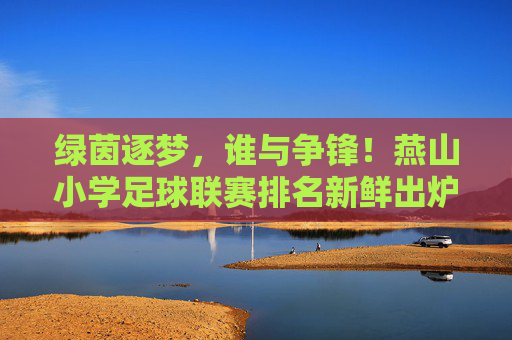 绿茵逐梦，谁与争锋！燕山小学足球联赛排名新鲜出炉