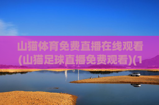 山猫体育免费直播在线观看(山猫足球直播免费观看)(1)