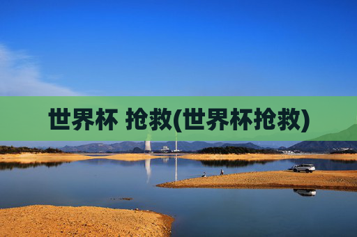 世界杯 抢救(世界杯抢救)
