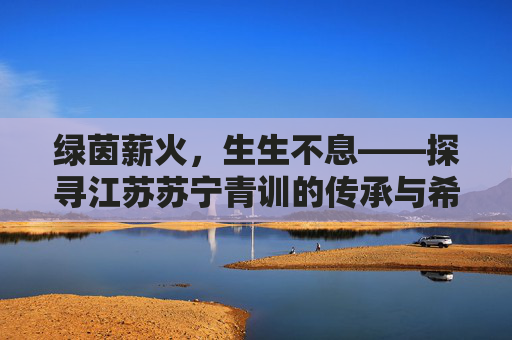 绿茵薪火，生生不息——探寻江苏苏宁青训的传承与希望