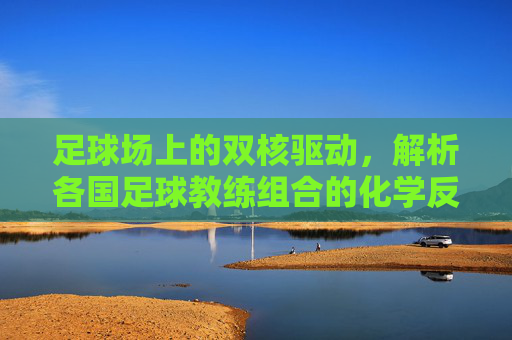 足球场上的双核驱动，解析各国足球教练组合的化学反应与战术智慧