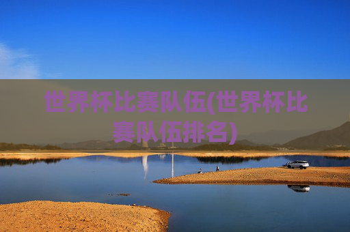 世界杯比赛队伍(世界杯比赛队伍排名)