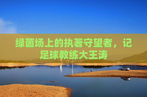 绿茵场上的执著守望者，记足球教练大王涛
