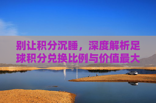 别让积分沉睡，深度解析足球积分兑换比例与价值最大化