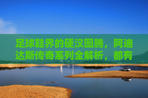 足球鞋界的硬汉图腾，阿迪达斯传奇系列全解析，都有啥系列？