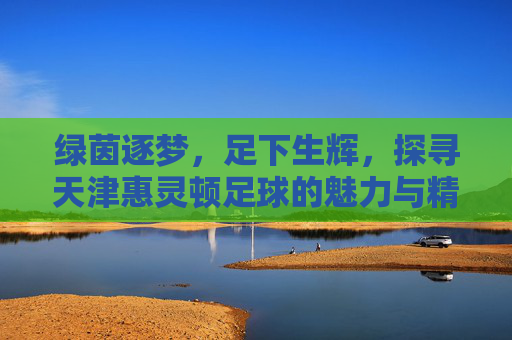 绿茵逐梦，足下生辉，探寻天津惠灵顿足球的魅力与精神
