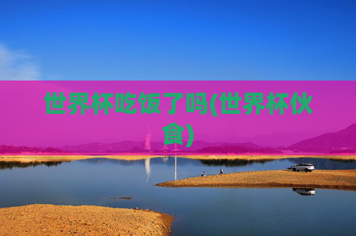 世界杯吃饭了吗(世界杯伙食)