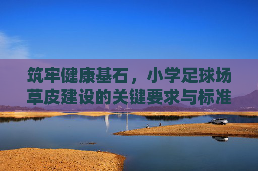 筑牢健康基石，小学足球场草皮建设的关键要求与标准