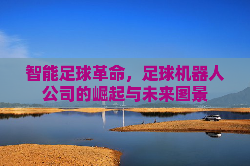 智能足球革命，足球机器人公司的崛起与未来图景