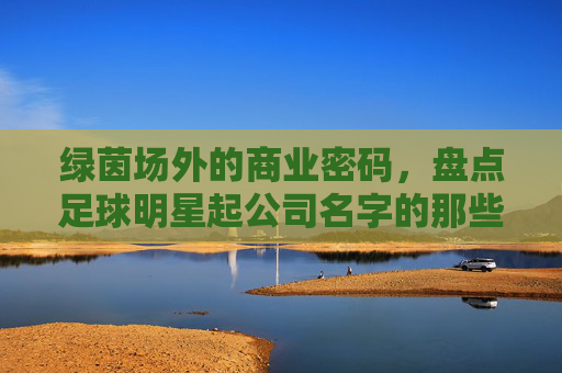 绿茵场外的商业密码，盘点足球明星起公司名字的那些事儿