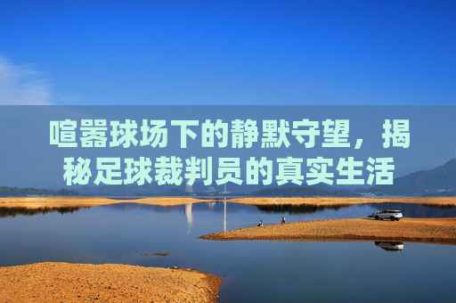 喧嚣球场下的静默守望，揭秘足球裁判员的真实生活