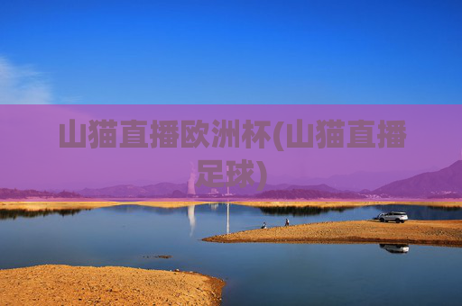 山猫直播欧洲杯(山猫直播足球)