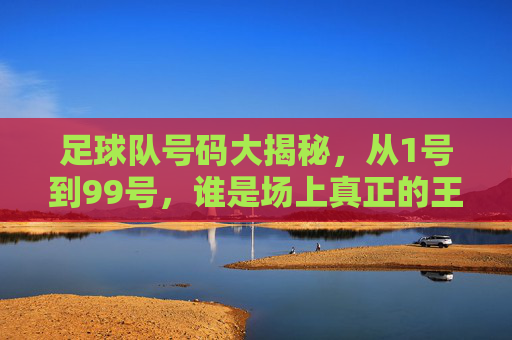 足球队号码大揭秘，从1号到99号，谁是场上真正的王者？