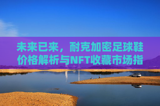 未来已来，耐克加密足球鞋价格解析与NFT收藏市场指南