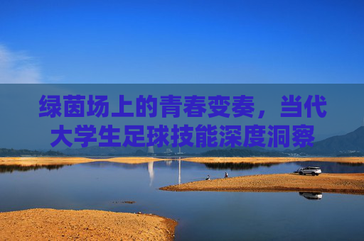 绿茵场上的青春变奏，当代大学生足球技能深度洞察