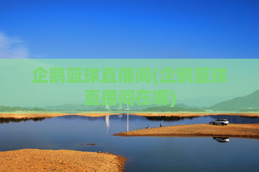 企鹅篮球直播间(企鹅篮球直播间在哪)