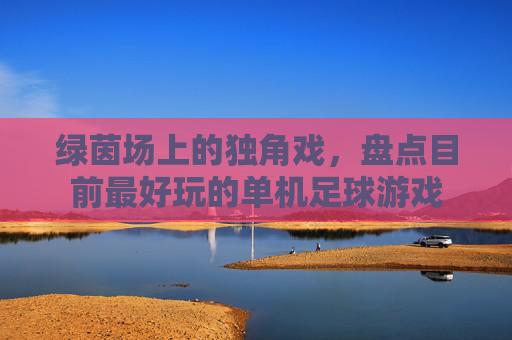 绿茵场上的独角戏，盘点目前最好玩的单机足球游戏