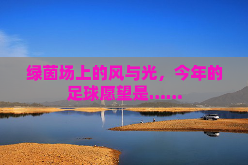 绿茵场上的风与光,今年的足球愿望是……