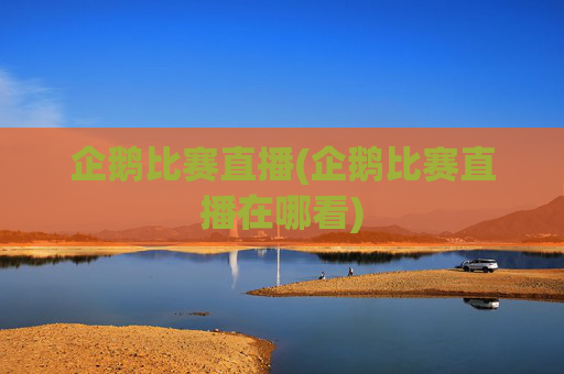 企鹅比赛直播(企鹅比赛直播在哪看)