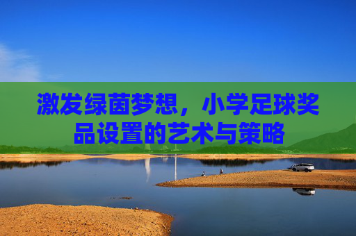 激发绿茵梦想,小学足球奖品设置的艺术与策略