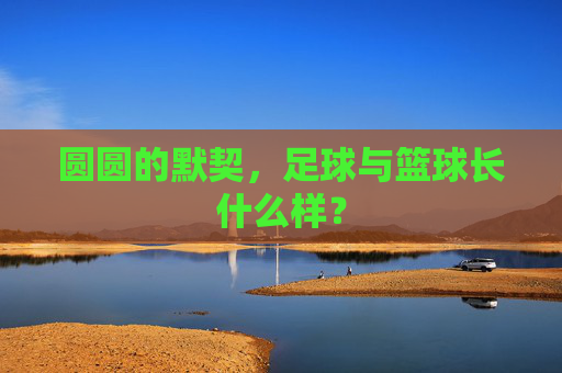 圆圆的默契，足球与篮球长什么样？