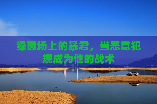 绿茵场上的暴君，当恶意犯规成为他的战术