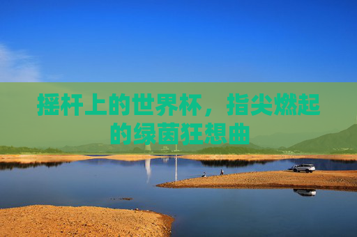 摇杆上的世界杯，指尖燃起的绿茵狂想曲
