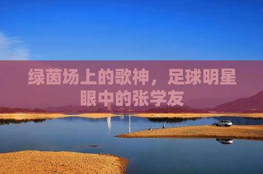 绿茵场上的歌神,足球明星眼中的张学友