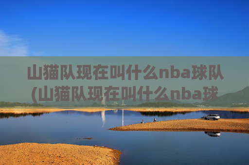 山猫队现在叫什么nba球队(山猫队现在叫什么nba球队名字)
