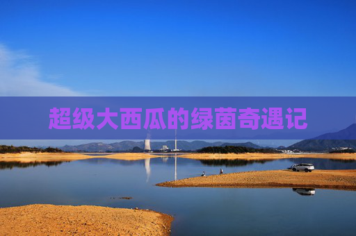 超级大西瓜的绿茵奇遇记