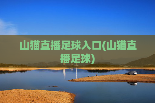 山猫直播足球入口(山猫直播足球)