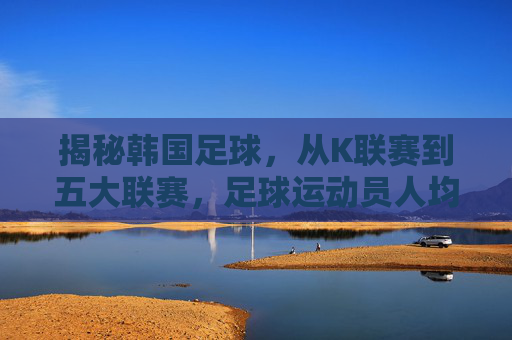 揭秘韩国足球,从K联赛到五大联赛,足球运动员人均收入究竟几何?