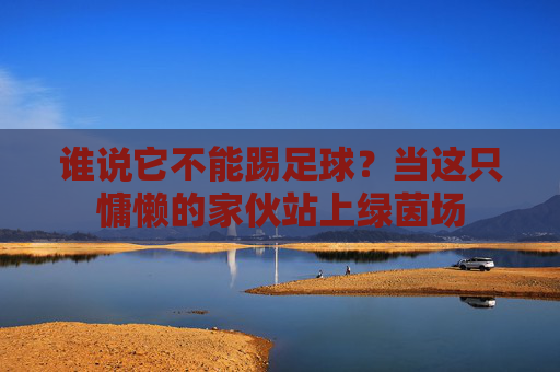 谁说它不能踢足球？当这只慵懒的家伙站上绿茵场