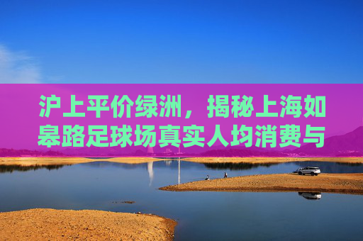 沪上平价绿洲,揭秘上海如皋路足球场真实人均消费与踢球体验