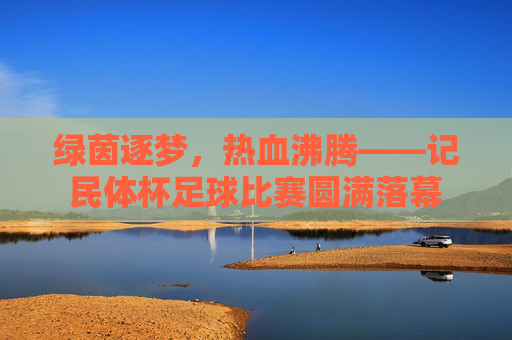 绿茵逐梦,热血沸腾——记民体杯足球比赛圆满落幕