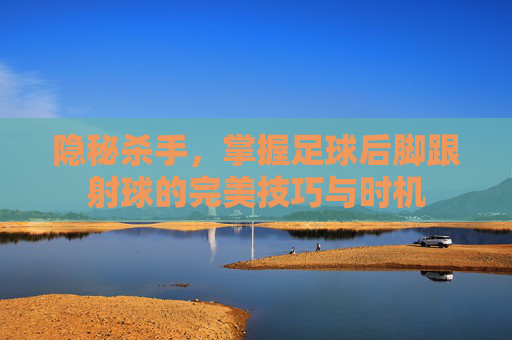 隐秘杀手,掌握足球后脚跟射球的完美技巧与时机