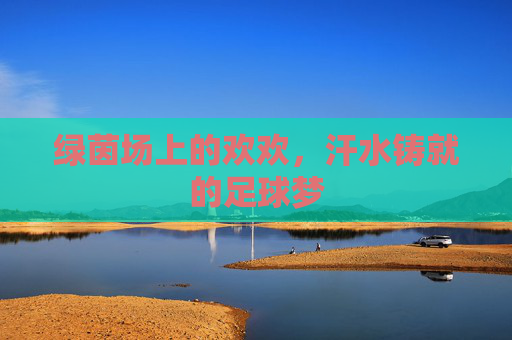 绿茵场上的欢欢,汗水铸就的足球梦