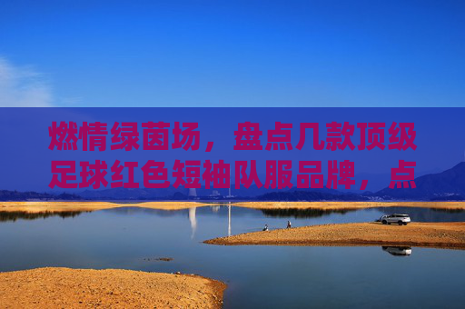 燃情绿茵场,盘点几款顶级足球红色短袖队服品牌,点燃你的运动激情